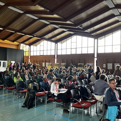 signal 2024 10 25 142443 002