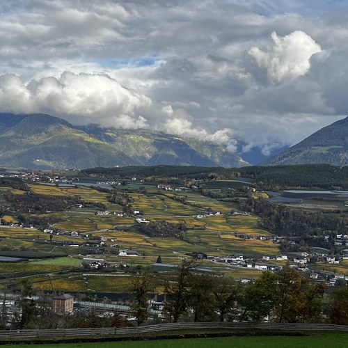 signal 2024 10 25 142443 003