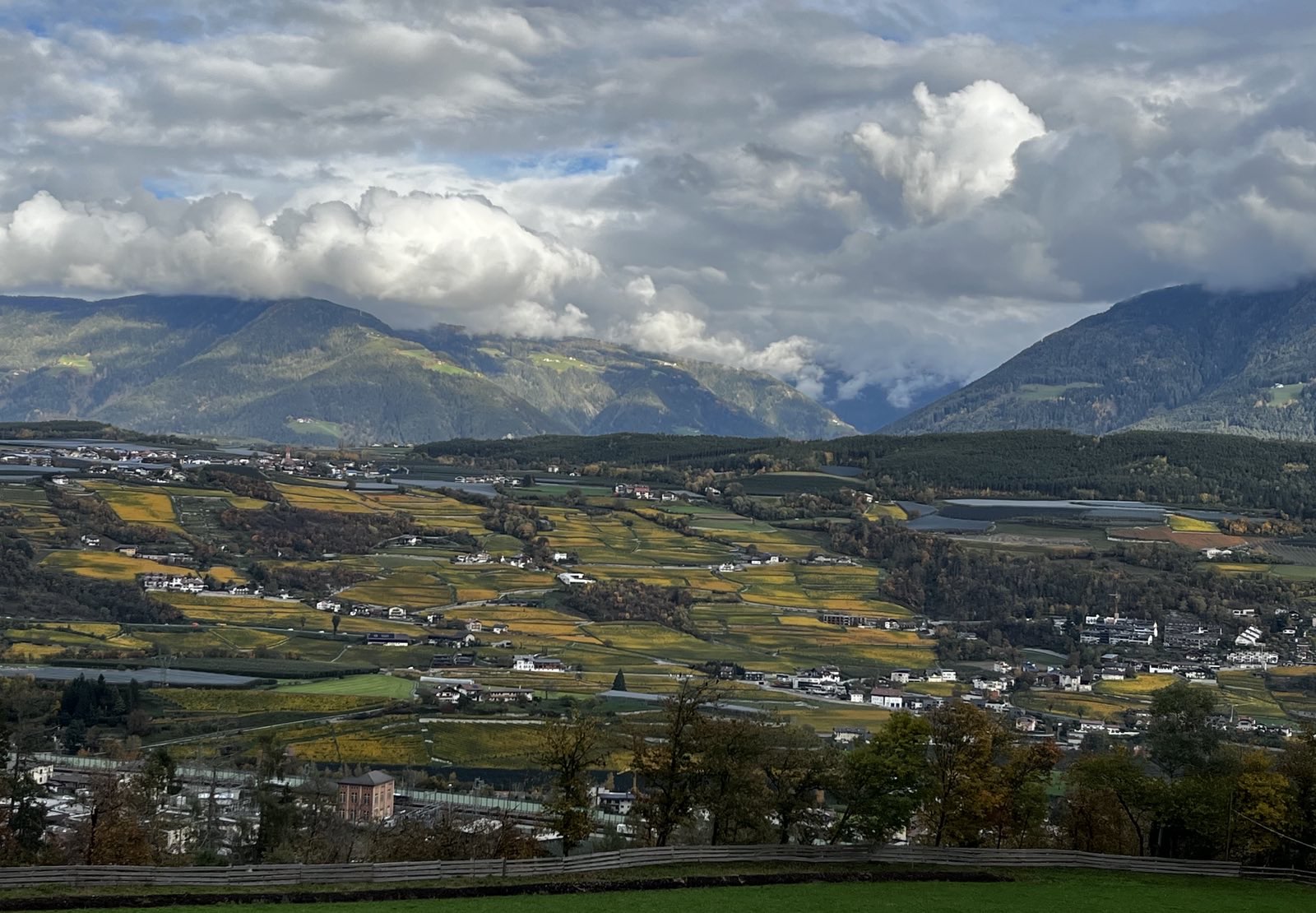 signal 2024 10 25 142443 003