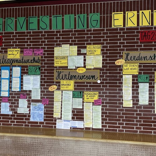 signal 2024 10 25 151756 002