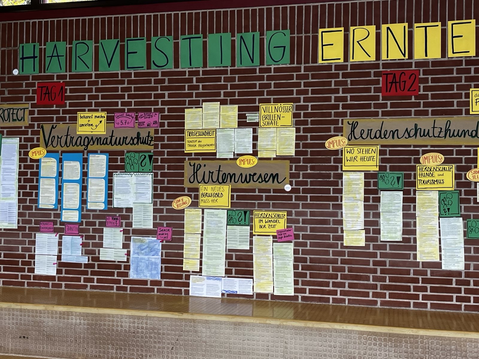 signal 2024 10 25 151756 002