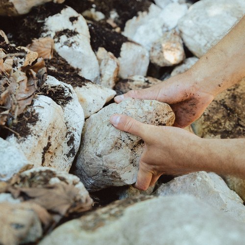 (c) Natalia Polonskaia