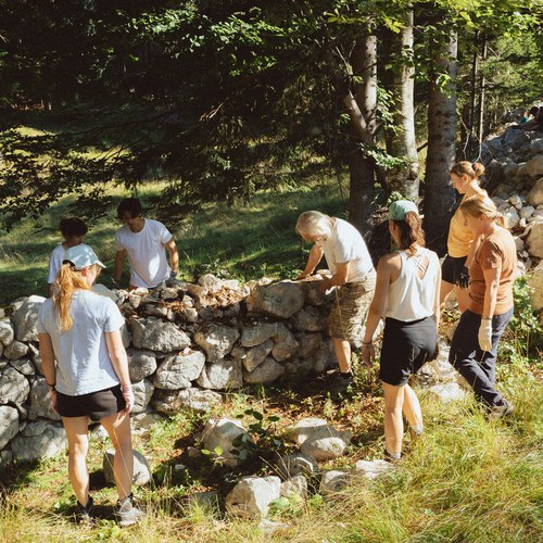 (c) Natalia Polonskaia