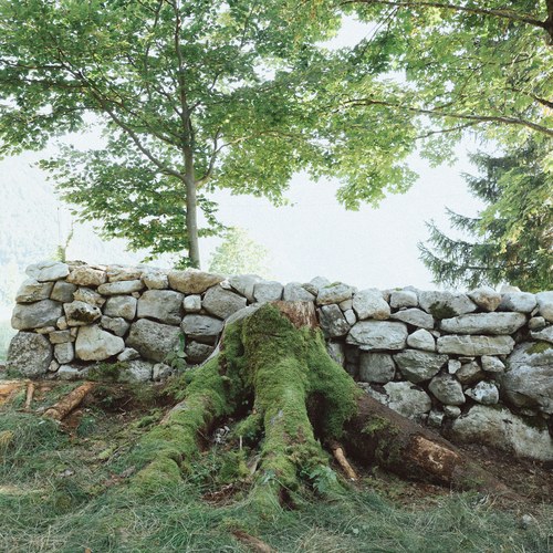 (c) Natalia Polonskaia