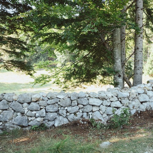 (c) Natalia Polonskaia