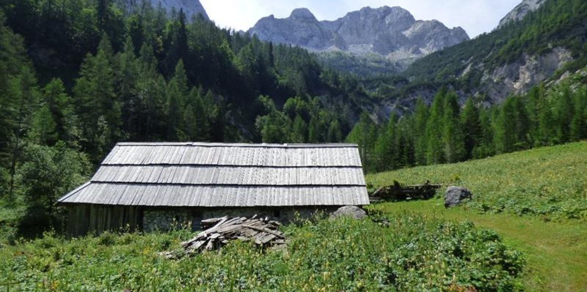 sl_25_pasture Zapotoki_(c) TNP.jpg