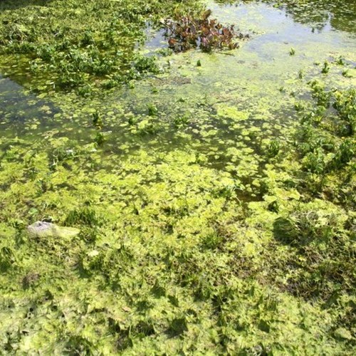 Svetenje Dvojnega jezera, Stane Klemenc