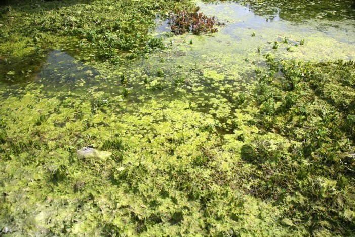 Svetenje Dvojnega jezera, Stane Klemenc