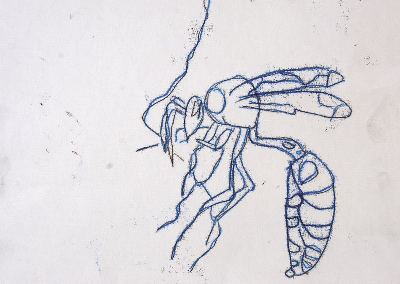 SteinReich BettinaHug