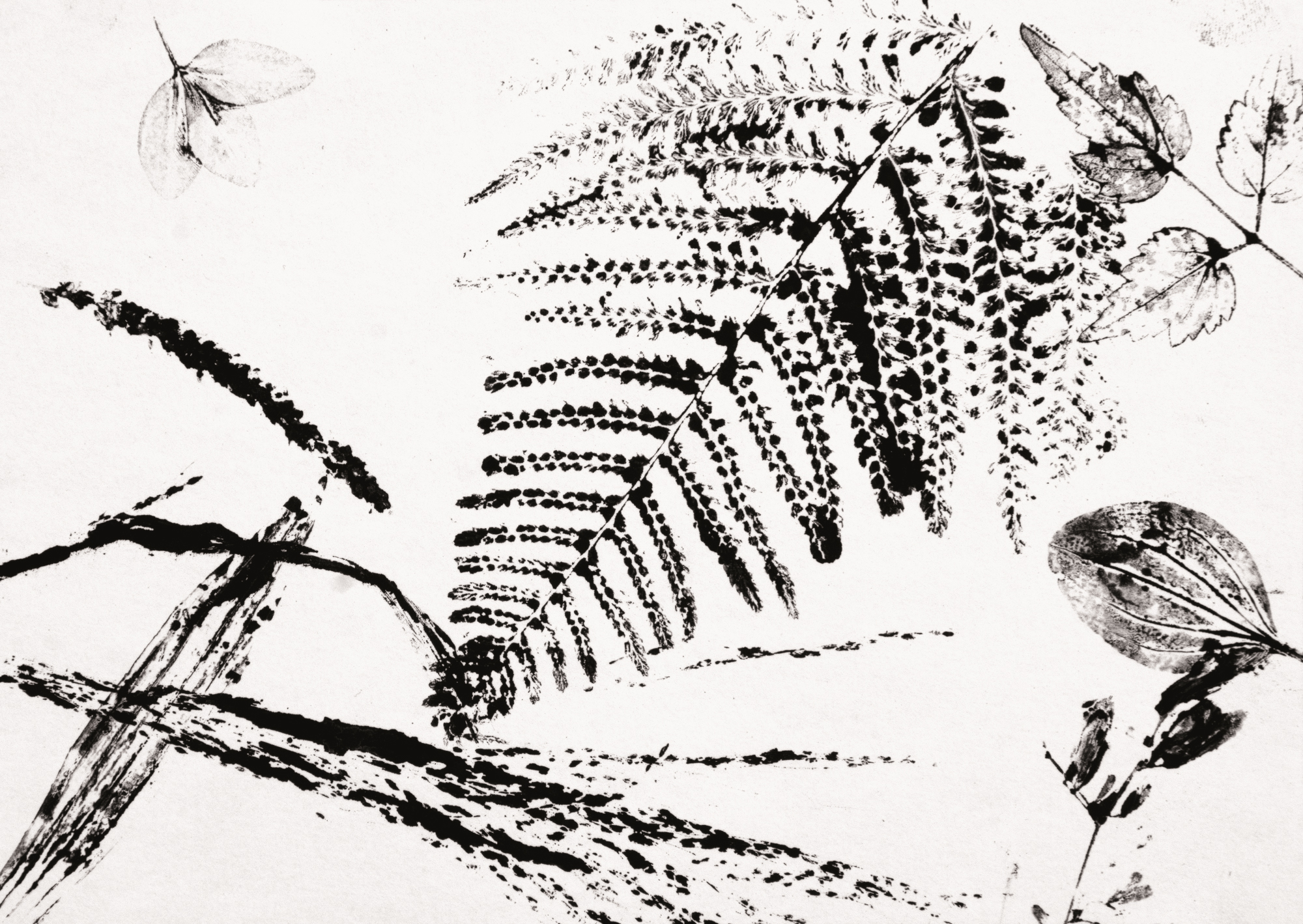 SteinReich JaninSalzger1