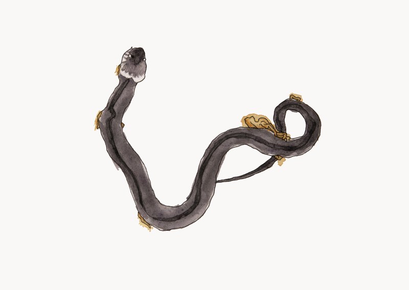 SteinReich JaninSalzger2