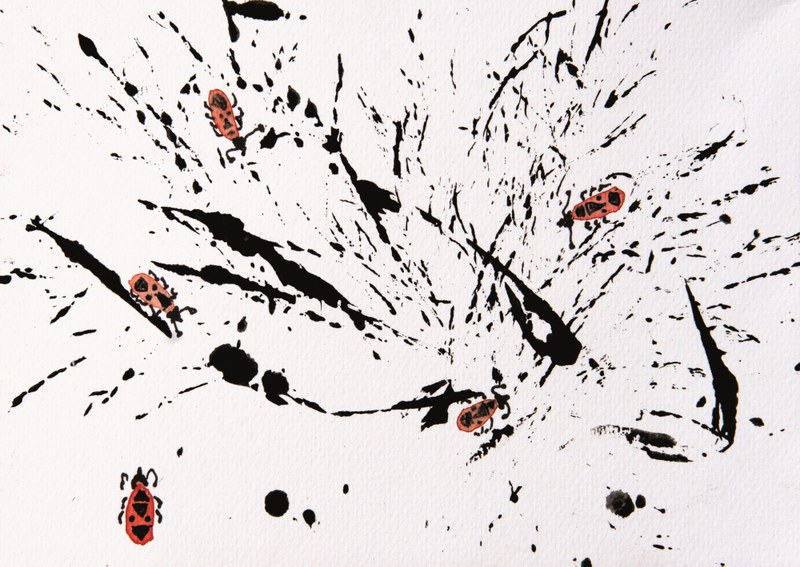 SteinReich JulianeWeigt3