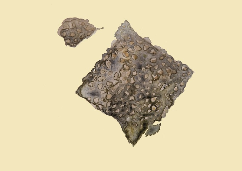 SteinReich MagdalenaH