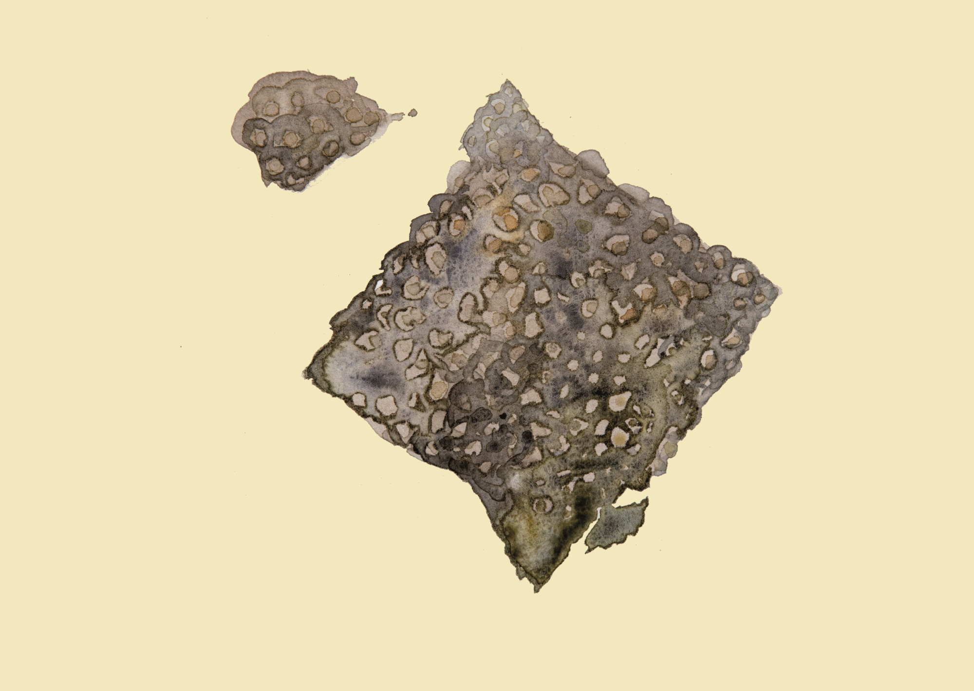 SteinReich MagdalenaH