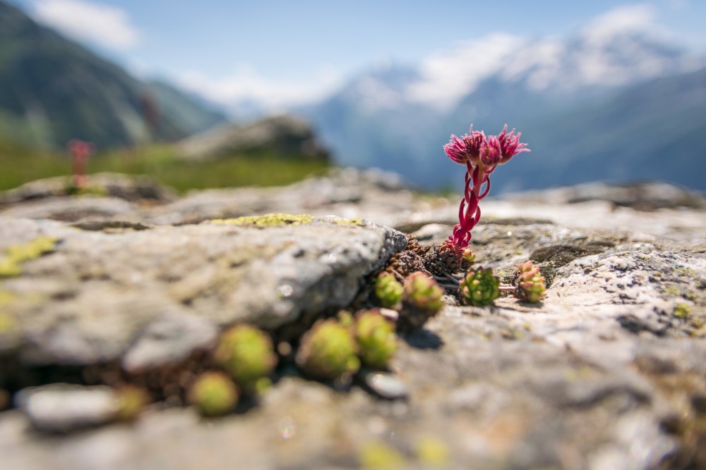 Sza 108 Titelbild web (c) Bartek Naprawa.jpg