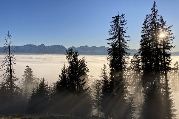 TdB 2020 Landschaft_web(c) Michael Gams.jpg