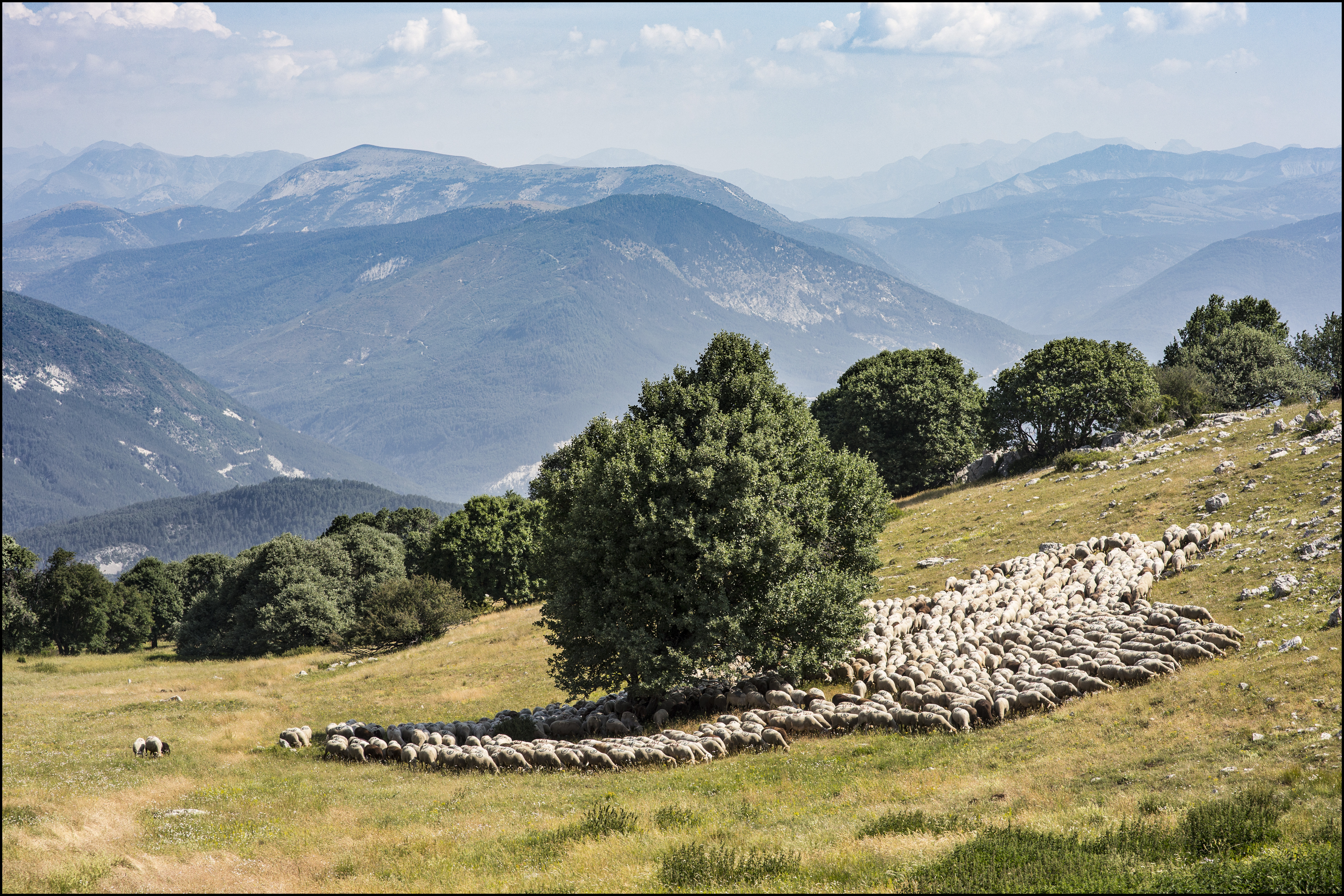 Verdon Transhumance © Arnaud Brunet