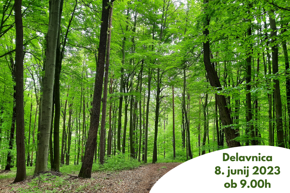 Untitled design (23).png