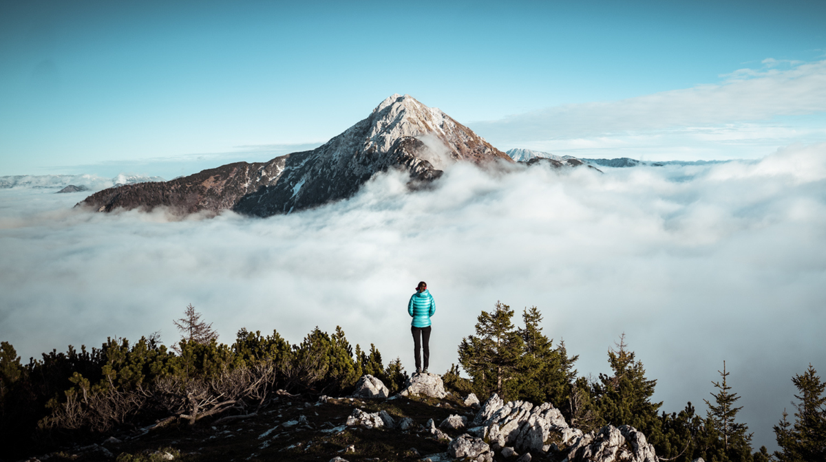 Untitled design (28).png