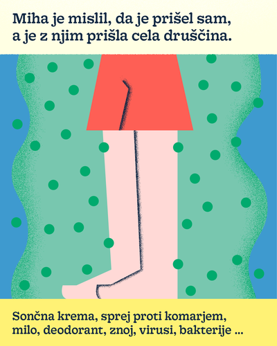 V visokogorju smo gosti narave 2.png