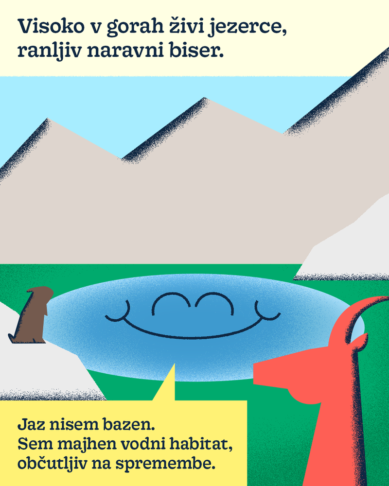 V visokogorju smo gosti narave.png