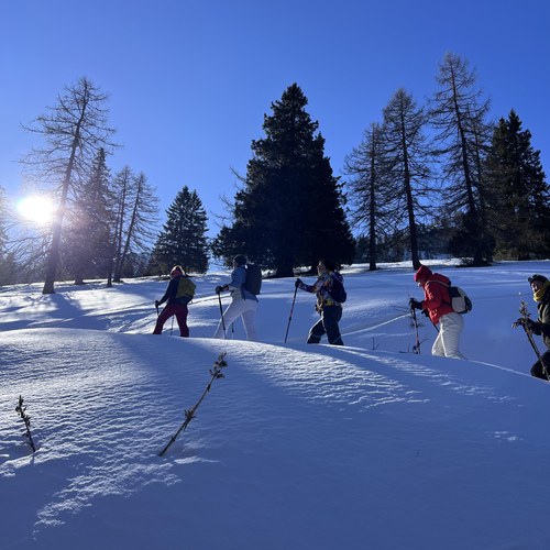 VAY VisitUtopia LIE (c) Anna Planitzer