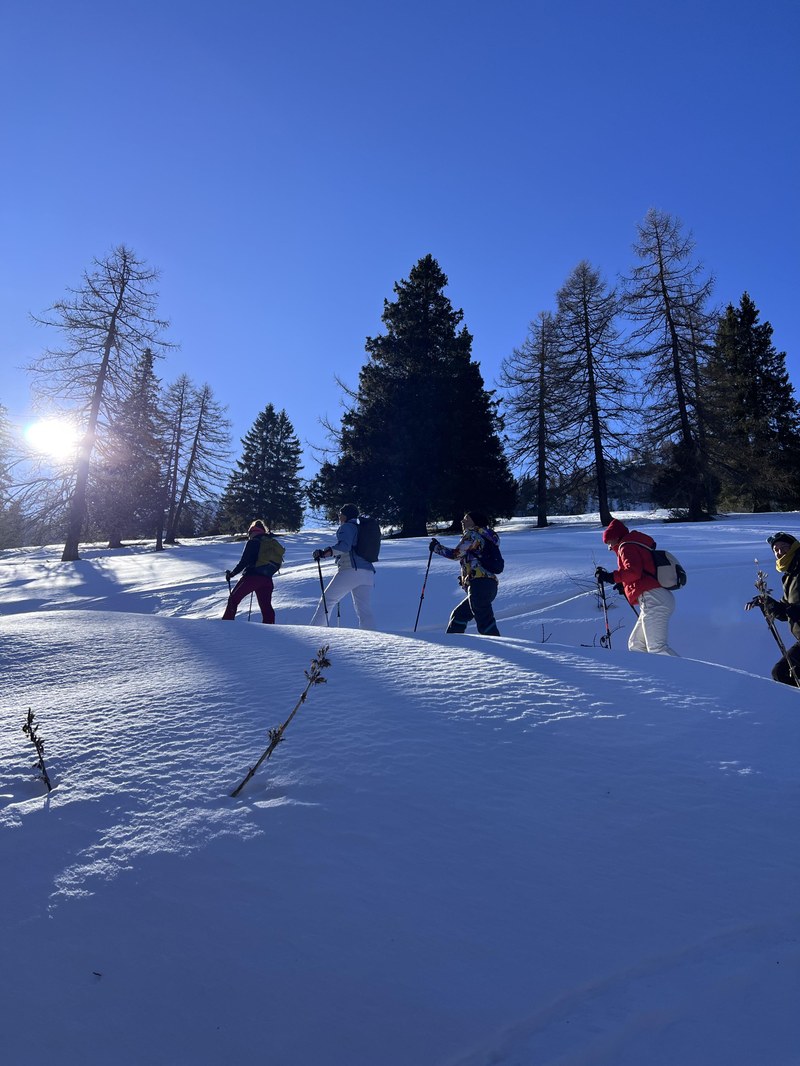 VAY VisitUtopia LIE (c) Anna Planitzer