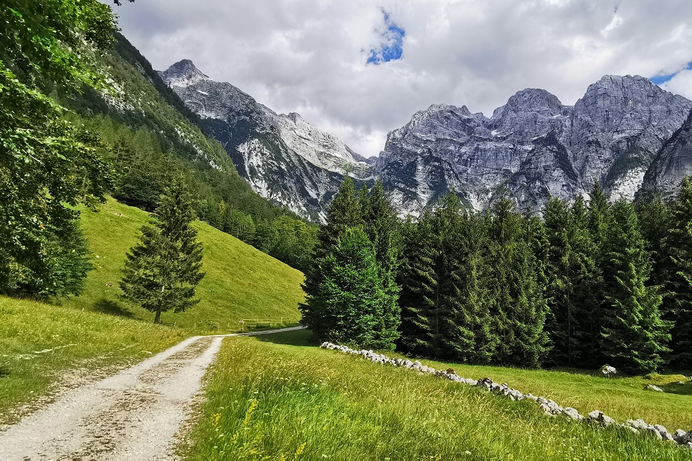 Via Alpina (c) Julien Defois