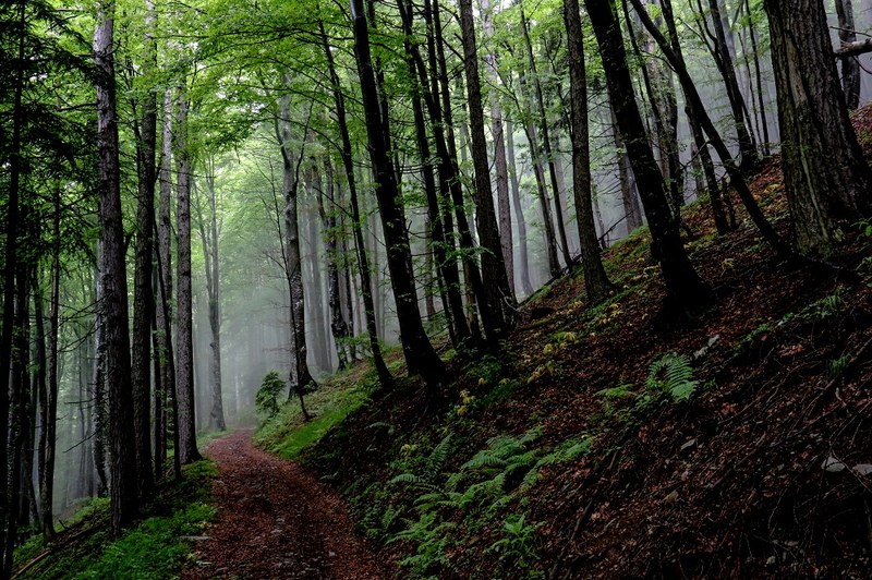 Via Alpina c Matthieu Chambaud - Slow Rando (2)