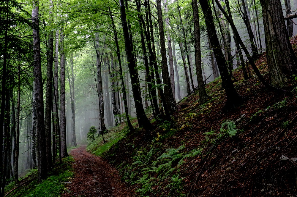 Via Alpina c Matthieu Chambaud - Slow Rando (2)