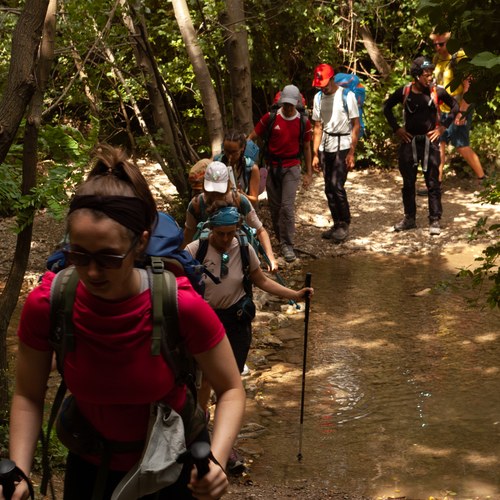 via alpina23 147 (c) Filip Fratina