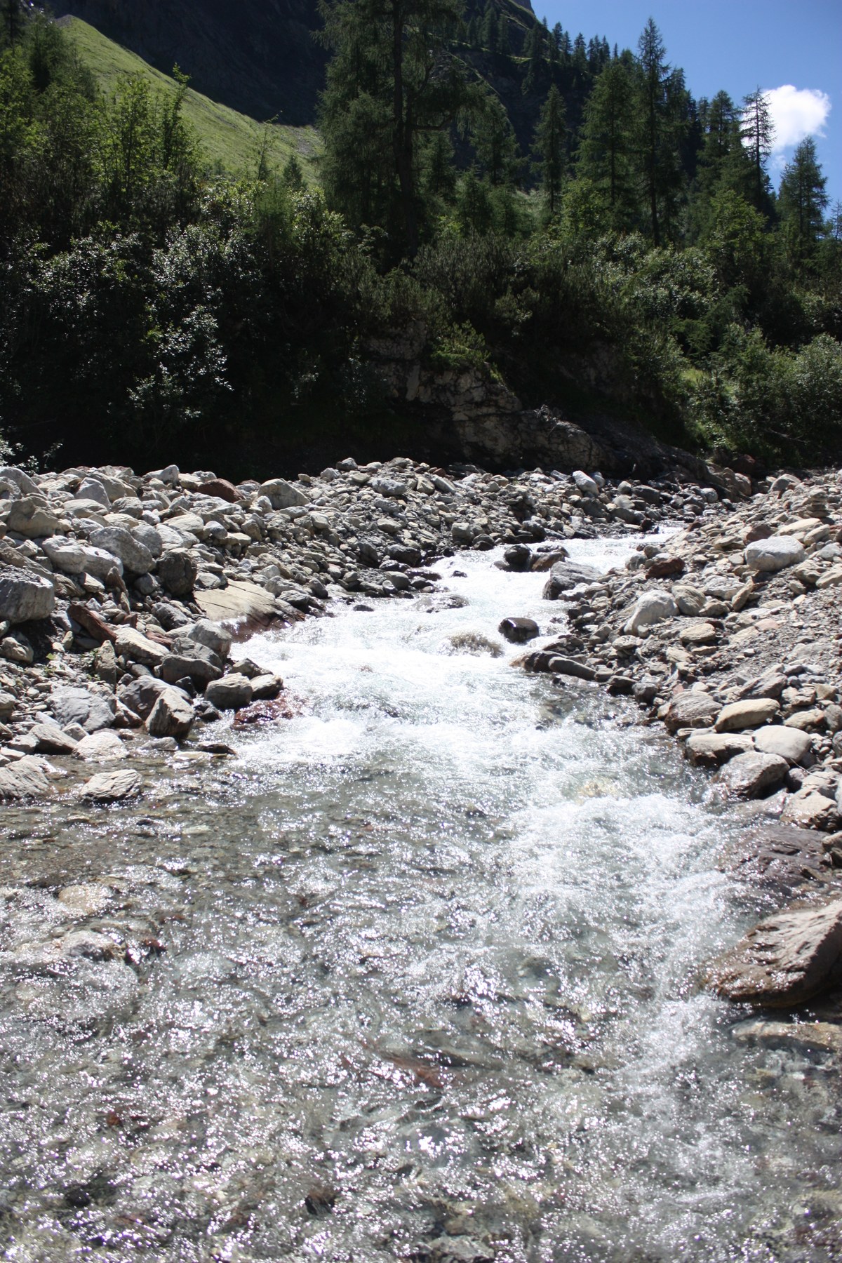 Wandern Lechtal Ende Juli 353.JPG