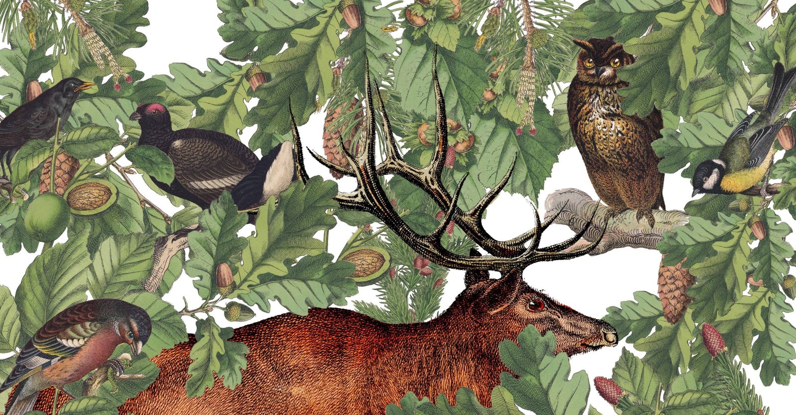 Illustration: Studio Tandem