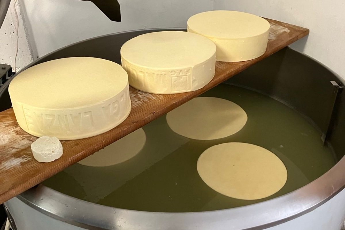 Visit Utopia- Walking the line2.jpg