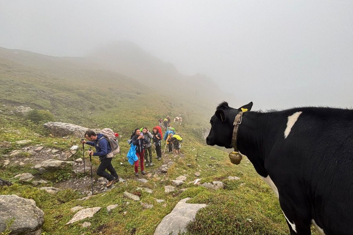 Visit Utopia- Walking the line4.jpg