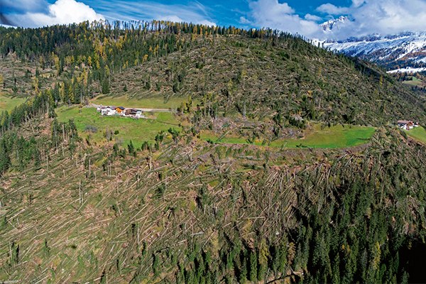 Windwurf_Welschnofen_I_(c)seehauserfoto_600x400.jpg