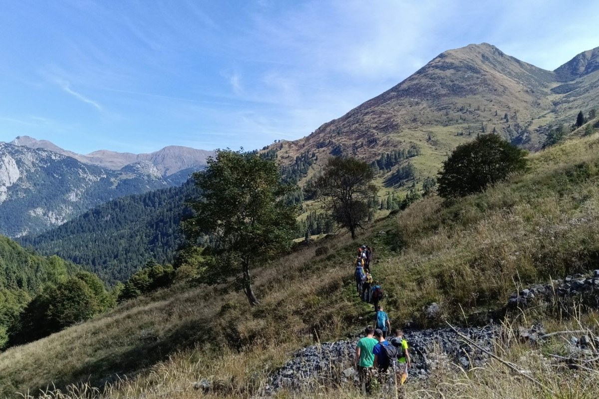 IT_25_Wild Routes Utopia3.jpg