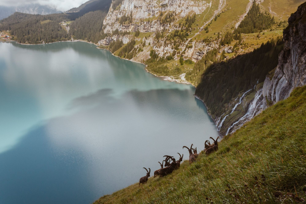 Yoalin 2025__(c) Martin Frey.png