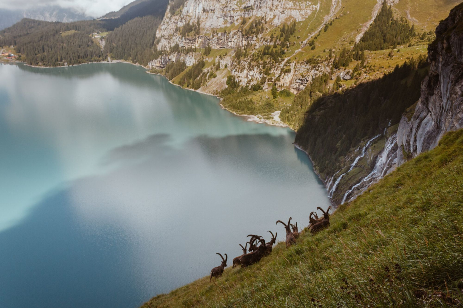 Yoalin 2025__(c) Martin Frey.png