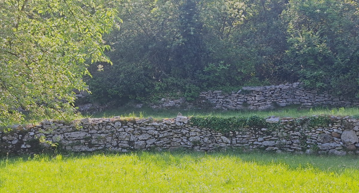 Za objavo info projekta.jpg