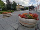 Zasaditev Brixen mobilnostno sredisce. Arhiv CIPRa.JPG