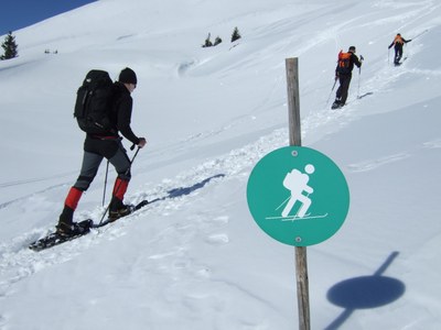 Skibergsteigen umweltfreundlich_witty
