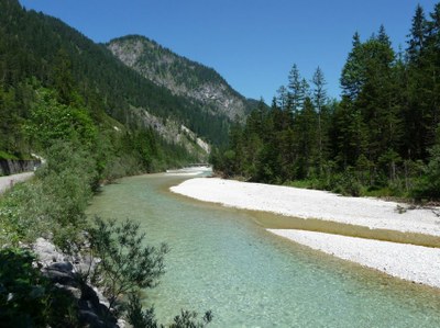 wwf-Alpenflüsse