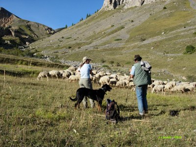Marion is about to spend her first night with the herd in the Mercantour mountains