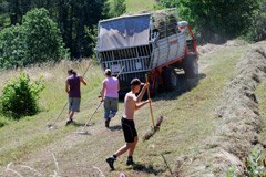 Podpore za hribovsko kmetijstvo na vidiku