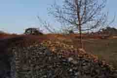 Povezovanje habitatov v Alpah