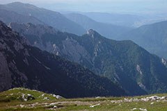 Slovenija pripravlja zeleno strategijo