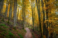 CIPRA Slovenija z DOPPS sovodja delovne skupine za varstvo narave