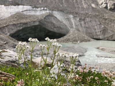 Glasovi in mnenja vzdolž pohodniške poti Via Alpina