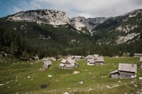 Informativni dnevi v praksi: več kot 40 mladih je izkusilo poklice podeželja